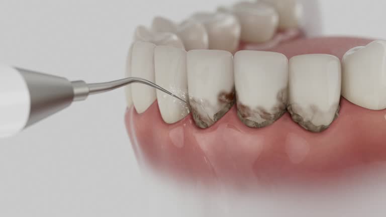 Reliable Dental contractor in Lincoln Park, MI by Dentist Open Now